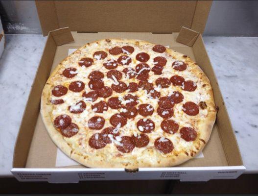Pepperoni pizza delicious and hot