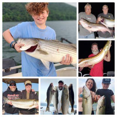 Trophy Guide Service