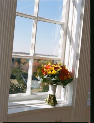Belak Flowers
