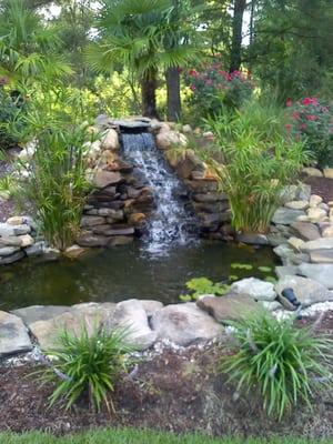 G & D Aquatics & Landscaping
