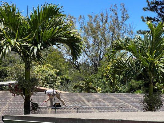 Noni Home Improvement