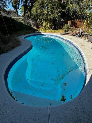 L&C Simple & Clean Pool Services