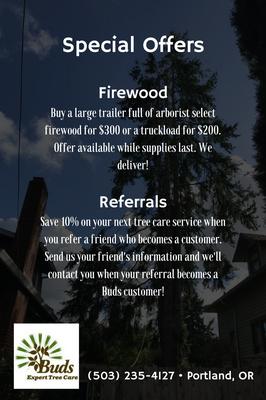 Buds Expert Tree Care