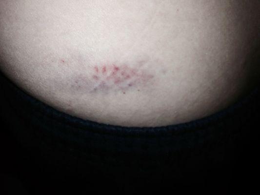 Law Offices Of Heather Lester