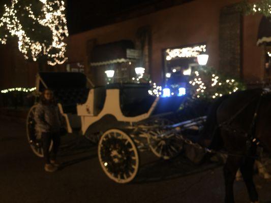 Just one of the carriages they offer. They even wrap you up before your ride starts.