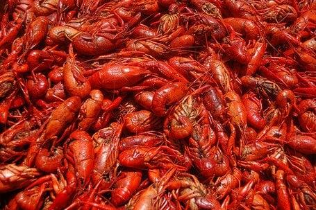 Crawfish (you eat the tail)