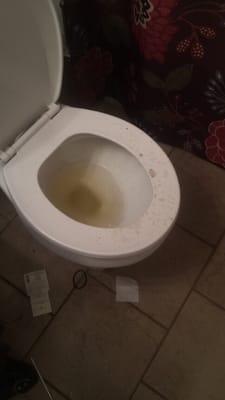 Bathroom leaking from upstairs bathroom