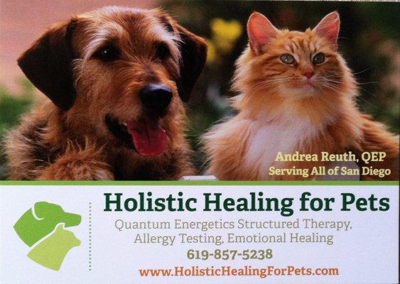 Holistic Healing For Pets