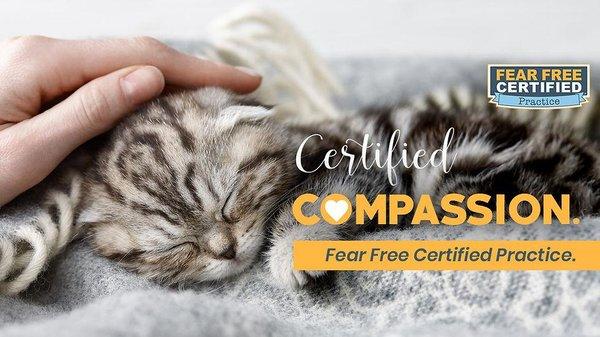 Felines First Veterinary Hospital