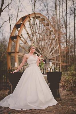 Shala Wills Photography