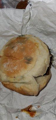 The mold at the bottom of all the buns....yep and I made sure it wasn't char....3 sandwiches all with mold. Gross!