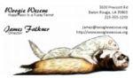 business card designed for Woogie Wescue