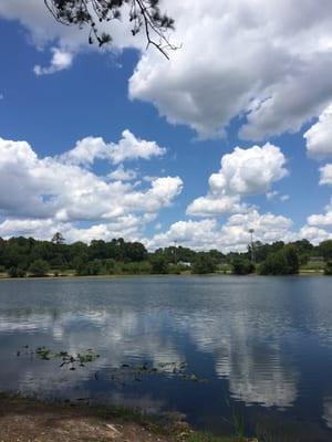 Saint Augustine Fish Management Area