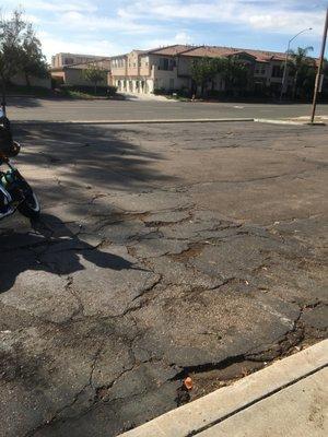 University Gardens Park