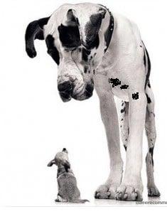 ThinkbigSites Los Angeles