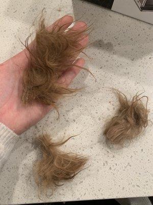 Mats that were in her ears I had to cut out myself.