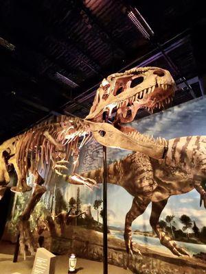 Discovery Place Science