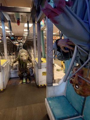 Mr Rat looking "dead" at you.