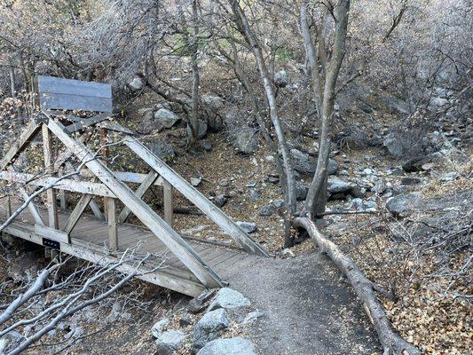 Bear Canyon Suspension Bridge Trail