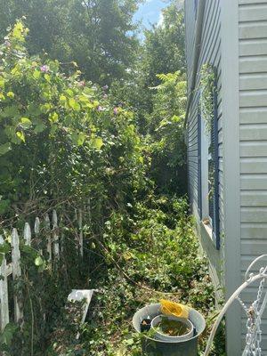 Tnt Land Restoration