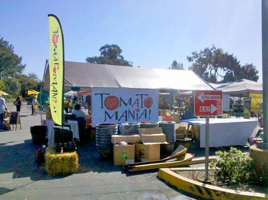 Tomatomania!