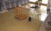 Cura Property Management