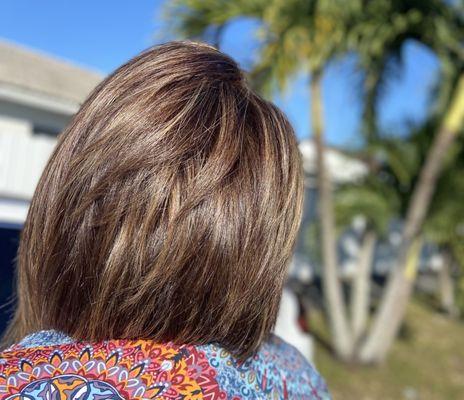 Highlights & Botox
