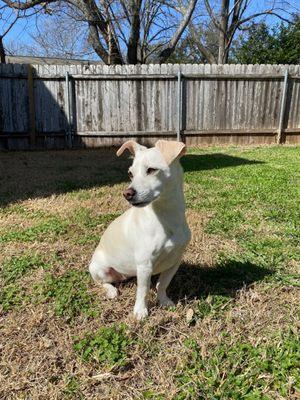 Sunbury Veterinary Clinic