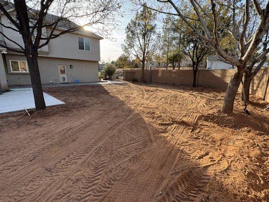 Semper Fi Tree Expert