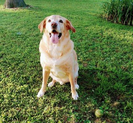 Paragould Animal Clinic