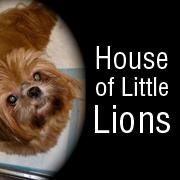House of Little Lions