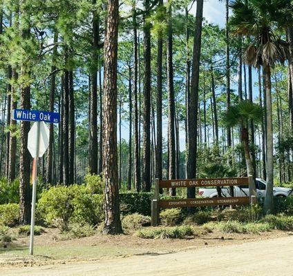 White Oak -- entrance