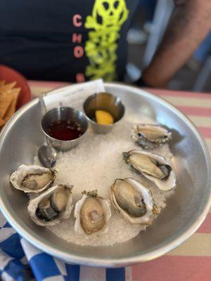 Oysters