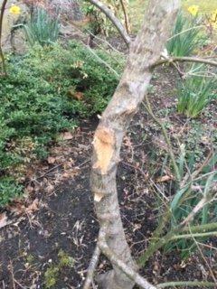 Oak Hill Wood Service