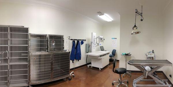 Our treatment area with state-of-the-art digital x-ray and dental cleaning equipement
