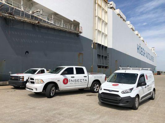 Insecta Exterminating