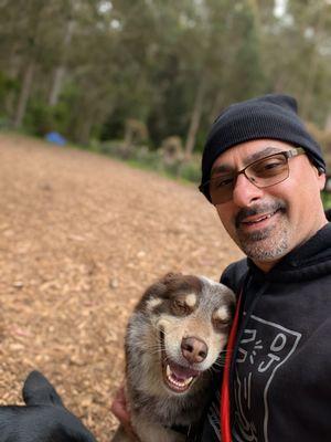 The Comforted Canine