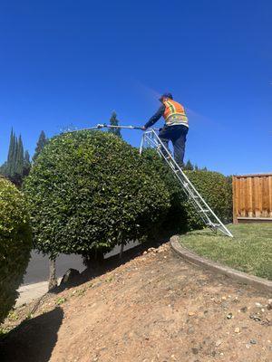 GR Landscape Management