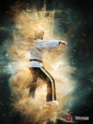 Twyman Taekwondo Academy