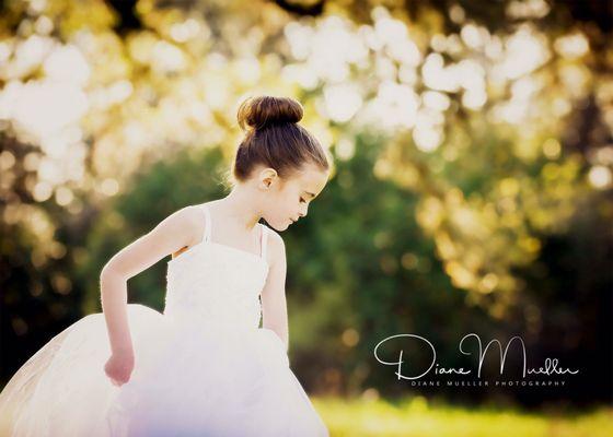 Mueller Diane Photography