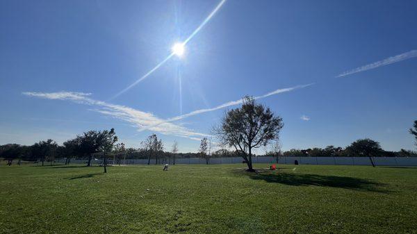 A beautiful sky and a beautiful dog.