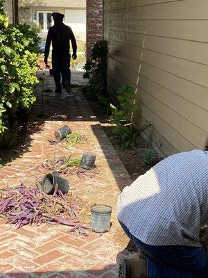 Gonzalez Misael Landscaping