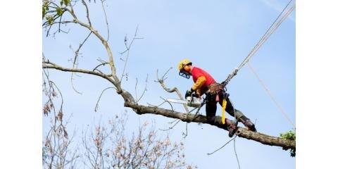 Gardner's Tree Services