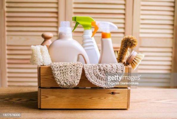 The Cleaning Guru Girls