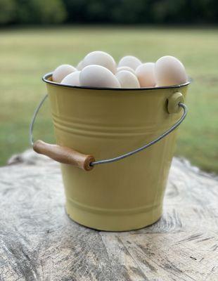 White Duck Egg Farm