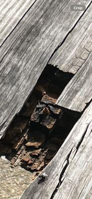 Jellystone Park Mammoth Cave