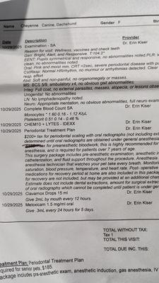 Bannon Woods Veterinary Hospital