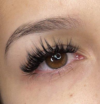 Gallery Lashes