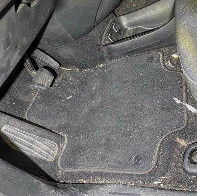 Champion Auto Detail