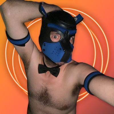 Bella Rose Entertainment